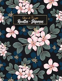 RECETTES DEPENSES: Livre de compte auto entrepreneur ★ Registre de comptabilité ★ Journal micro-entrepreneur I Micro entreprise ★ Carnet budget ★ ... comptables, Grand format A4, 120 Pages