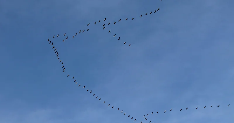 Quelle est la durée d'une formation en onglerie ?