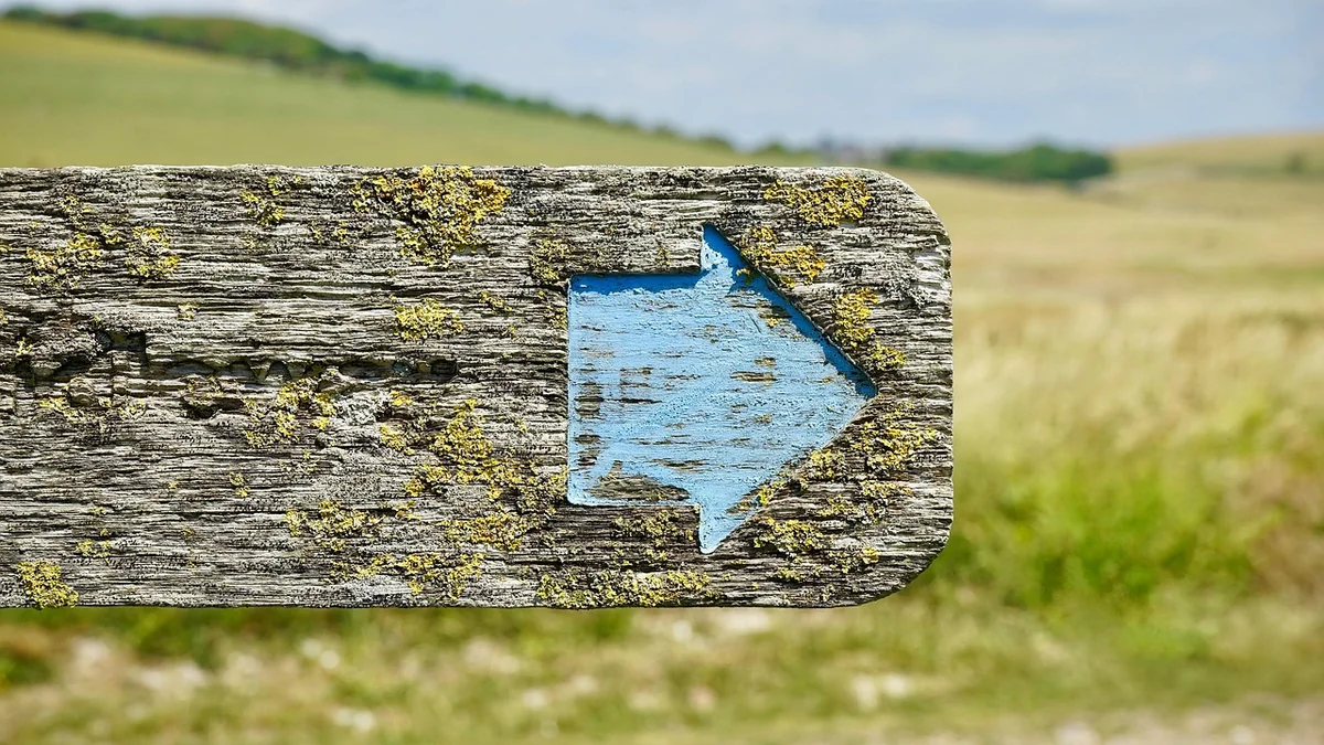 Les 5 erreurs que j'ai commises (et que vous devez éviter)